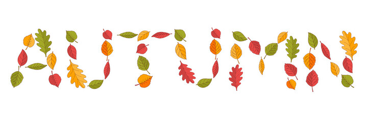 Word AUTUMN from colorful of leaves