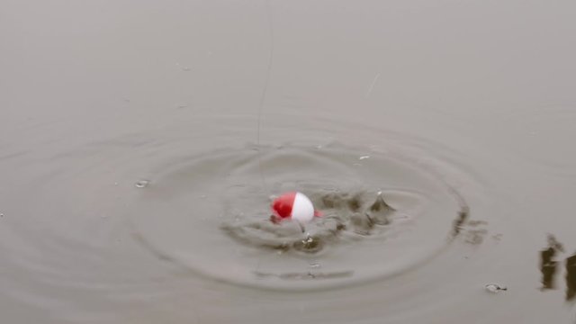 Fishing float bobs up and down creating ripples to signal a bite