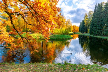 Catherine park in autumn, Pushkin (Tsarskoe Selo), St. Petersburg, Russia