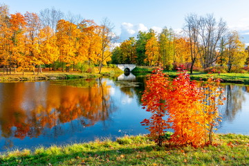 Alexander park in autumn, Pushkin (Tsarskoe Selo), St. Petersburg, Russia