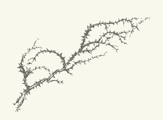 Branch of Blackthorn. Vector drawing