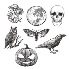 Vector vintage set of Halloween symbols in engraving style. Hand drawn illustration with skull, pumpkin, full moon, raven, death head moth and owl isolated on white © mashikomo