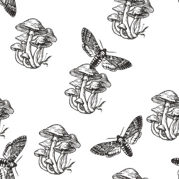 Vector seamless pattern with toadstools and death head moth in engraving style. Hand drawn texture with witching symbols isolated on white. Halloween background with mushrooms and butterflies