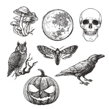 Vector vintage set of Halloween symbols in engraving style. Hand drawn illustration with skull, pumpkin, full moon, raven, death head moth and owl isolated on white