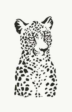 Vector illustration of leopard portrait in linocut style. Hand drawn sketch of stylized jaguar for print. Details of animal fur and muzzle
