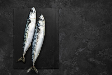 Mackerel. Fresh raw fish, top view, flat lay