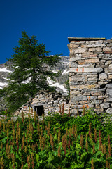 old house in the mountains