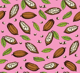 Cocoa Fruits. Vector drawing
