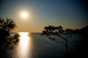 Obraz na płótnie Canvas Sunrise above sea and pine tree with blue sea background Turkey