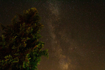 Milkyway at Night