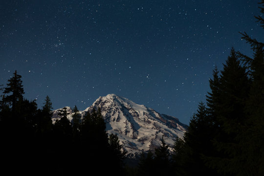 Mount Ranier #4