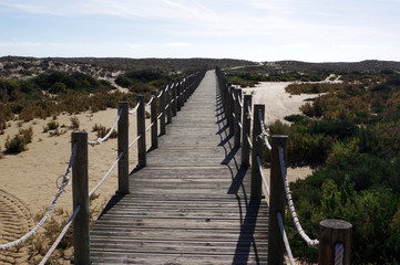 passerelle en bois sur la lagune de Faro, Portugal