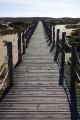 passerelle en bois sur la lagune de Faro, Portugal