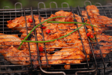 Шашлык на углях с хрустящей корочкой
