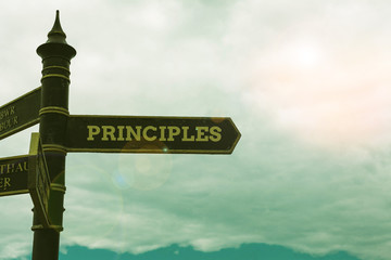 Conceptual hand writing showing Principles. Concept meaning fundamental truth that serves as the...