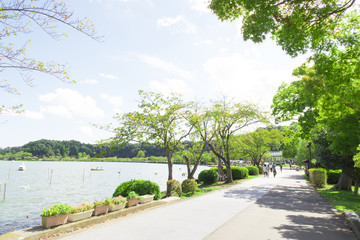 Fototapeta na wymiar 仙波公園　茨城県