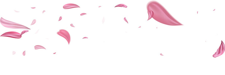 Pink falling petals rose. Nice flower pastel texture background.