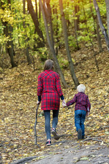 Mom and little son walk in the autumn forest. Back view