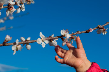Touch the spring