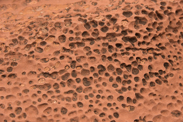 Honeycomb holes in rocks - Capitol Reef