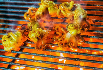 Squid Octopus grill Food Background