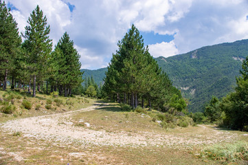 Route foresti&egrave;re