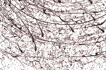 Texture of shocolate splashes on white background