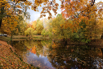 Obraz premium October autumn park in Russia, lake with red leaves and reflection in the lake, Alexander Park, Tsarskoye Selo, Leningrad Region. Beautiful autumn landscape in the park,