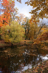 October autumn park in Russia, lake with red leaves and reflection in the lake, Alexander Park, Tsarskoye Selo, Leningrad Region. Beautiful autumn landscape in the park,