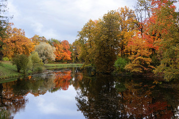 Fototapeta na wymiar October autumn park in Russia, lake with red leaves and reflection in the lake, Alexander Park, Tsarskoye Selo, Leningrad Region. Beautiful autumn landscape in the park,