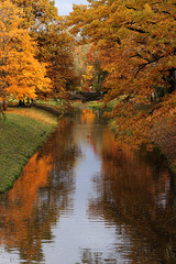 Obraz premium October autumn park in Russia, lake with red leaves and reflection in the lake, Alexander Park, Tsarskoye Selo, Leningrad Region. Beautiful autumn landscape in the park,