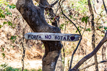 sign in the forest