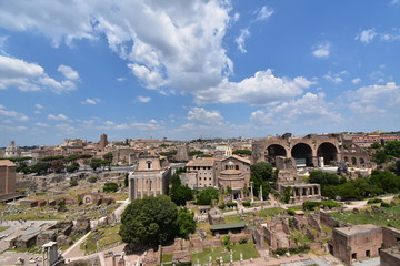 Fototapeta na wymiar Historical Ruins in Rome Italy