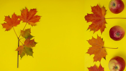 Old wood texture background surface. Wood texture table surface top view. Autumn texture. Copyspace