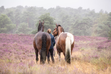 Obraz na płótnie Canvas Mädchen wandert mit Pferden durch die Heide