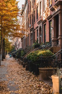 Brooklyn Fall