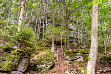 Huge rocks in a forest of Giant Mountains