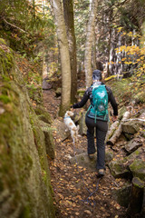 Obraz premium Femme marchant en sentier avec son chien