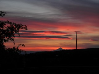 Fototapeta premium sunset, sky, clouds, sun, nature, sunrise, landscape, cloud, orange, evening, trees, red, dusk, tree, beautiful, night, silhouette, blue, morning, twilight