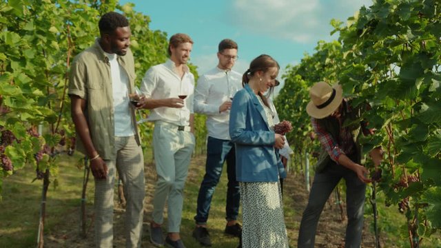 On grape harvest winemaker guiding private tour for wealthy multi-ethnic people. Group of beautiful friends enjoying wine tasting experience at vineyard.