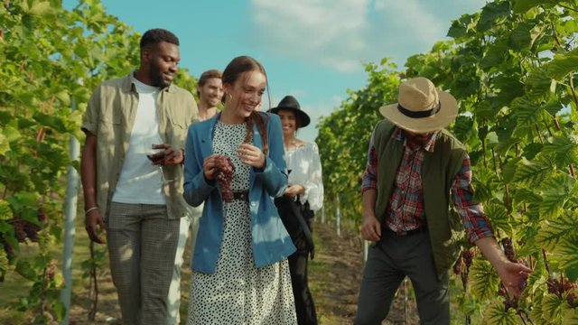 Happy multi-ethnic fashion people enjoying wine tasting and holiday tour with farmer through grapevine harvest winery region in summertime.