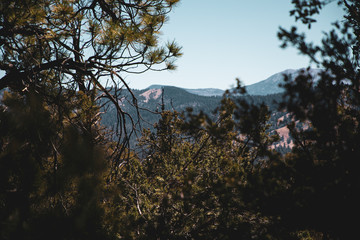 trees and blue sky in mountains