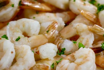 shrimp with tomato sauce