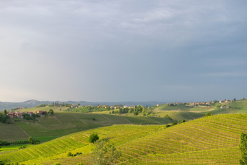 Fototapeta na wymiar Hills and vineyards at sunset