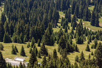 Landscape of Rhodope Mountains from Snezhanka tower, Bulgaria