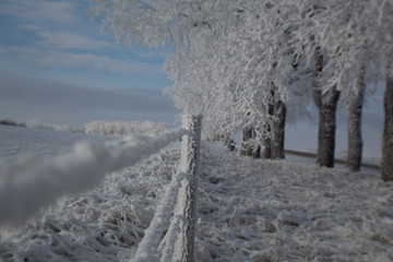 Fototapeta na wymiar Frosty Winter