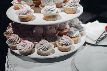 Selective focus of cute delicious cupcakes served on plate. Closeup of yummy desserts with cream staying on table. Concept of wedding candy bar, desserts and confectionery.