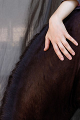 photo female hand hugs horse’s neck