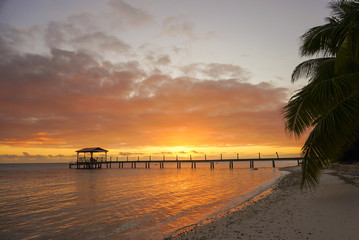 View of a dock leading out into water framed by palm trees on the tropical island of Fakarava in French Polynesia