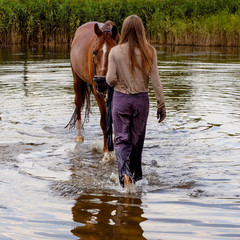 photo girl walking a horse in a pond